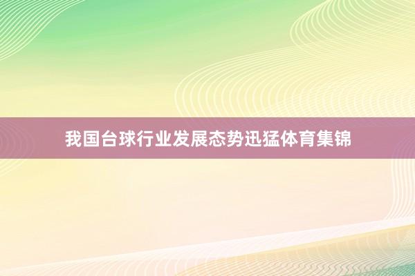 我国台球行业发展态势迅猛体育集锦
