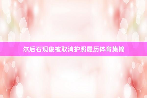 尔后石现俊被取消护照履历体育集锦