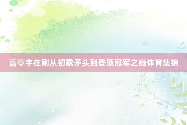 高亭宇在刚从初露矛头到登顶冠军之巅体育集锦