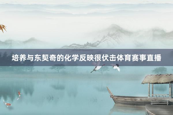 培养与东契奇的化学反映很伏击体育赛事直播