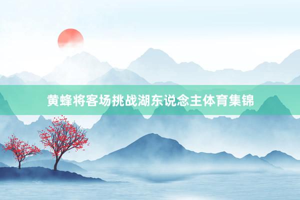 黄蜂将客场挑战湖东说念主体育集锦