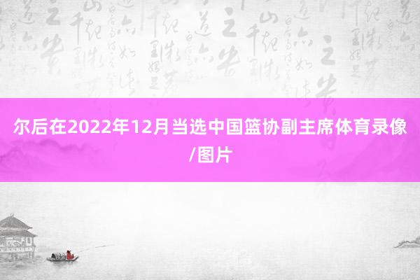 尔后在2022年12月当选中国篮协副主席体育录像/图片