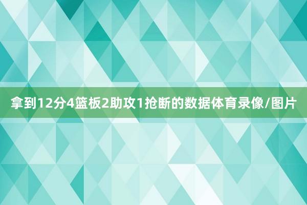拿到12分4篮板2助攻1抢断的数据体育录像/图片