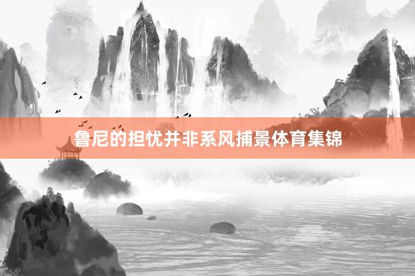 鲁尼的担忧并非系风捕景体育集锦